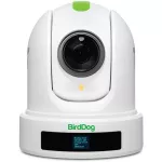 BirdDog P120 - Full NDI®, SDI, 20x Optical Zoom