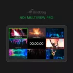 BirdDog Multiview Lite - NDI Multiviewer. Create up to six, 2x2 outputs