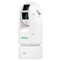 BirdDog A300 - IP67, Extreme Weatherproof, NDI, SDI, 30x Optical zoom