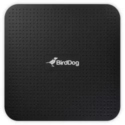 BirdDog PLAY - 4K NDI Player with full support for NDI® 5
