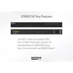 NETGAR XSM4216F