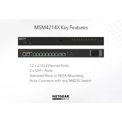 NETGAR MSM4214X